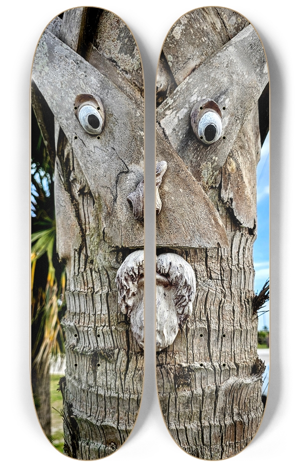 Palm tree with eyes.