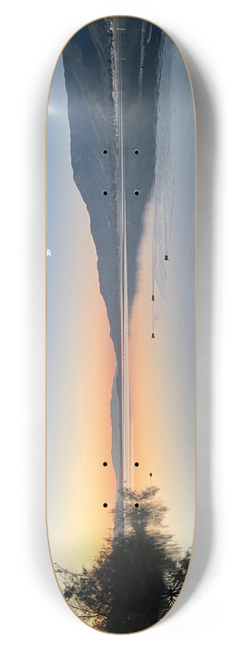 Custom Skateboard