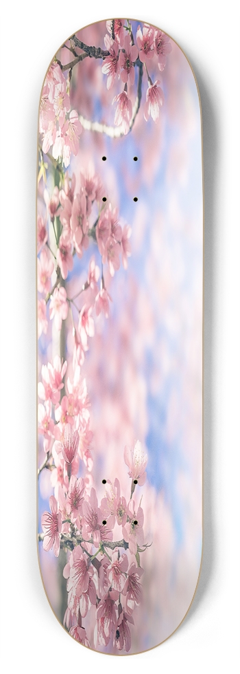 Cherry Blossom 8.75