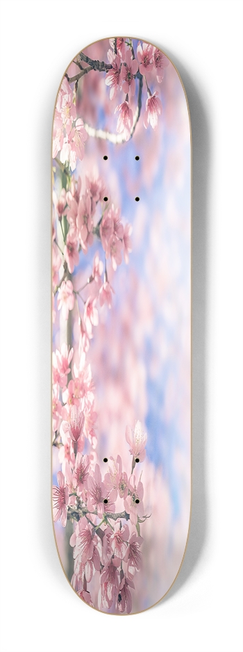 Cherry Blossom Mini 7.25