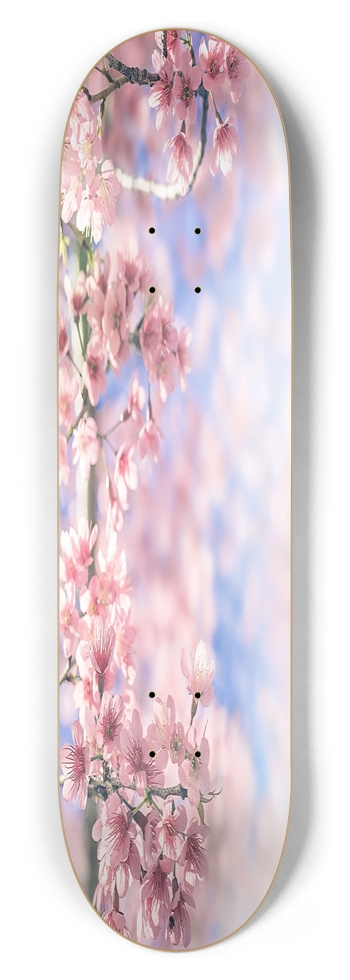 Cherry Blossom 8.50