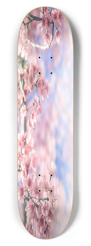 Cherry Blossom 7.75 7-3/4 Skateboard Deck 