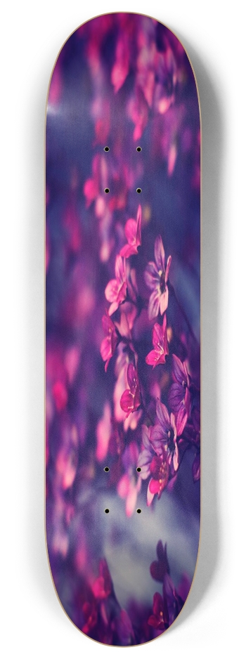 Purple Flowers 8.00