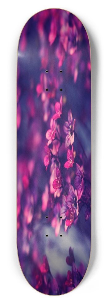 Purple Flowers 8.75