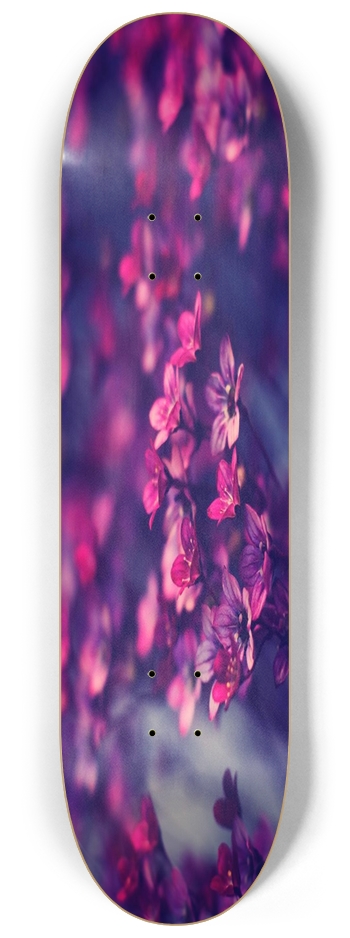 Purple Flowers 8.25