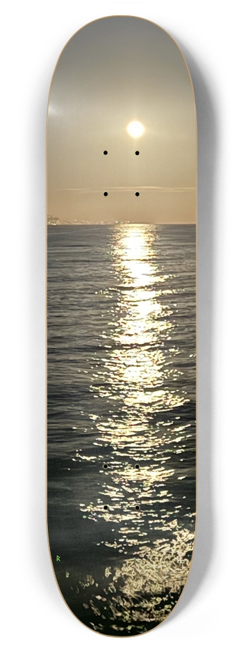 Custom Skateboard