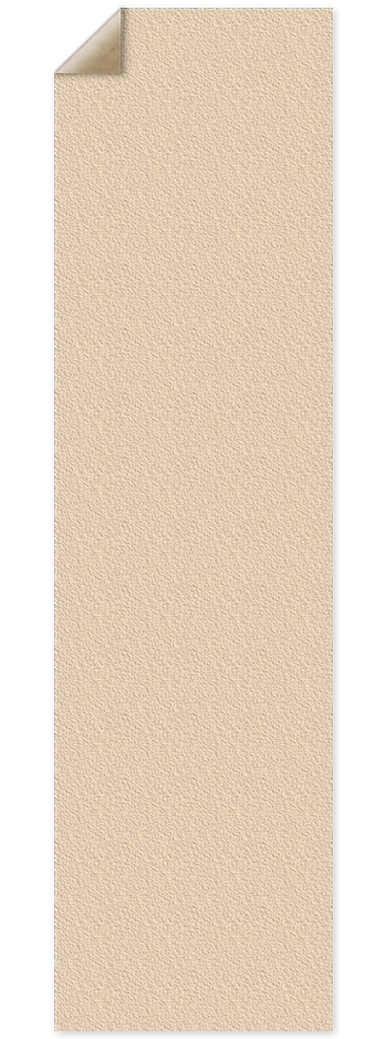 Bisque Custom Griptape