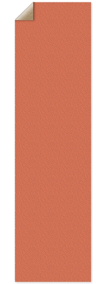 Burnt Sienna Custom Griptape