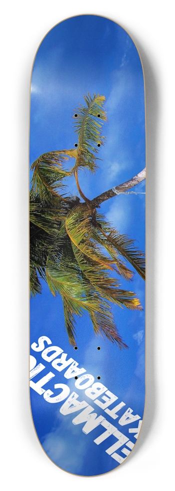 Custom Skateboard