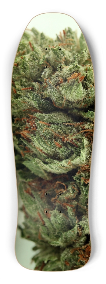 Exotic 1