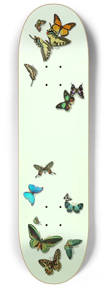 Butterflies
