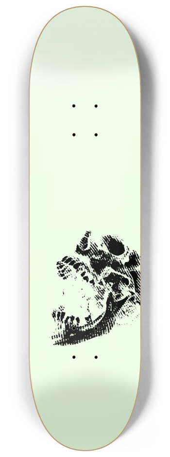 Skull 