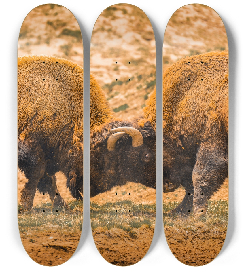 Skateboard Series 3 Deck Wall Series