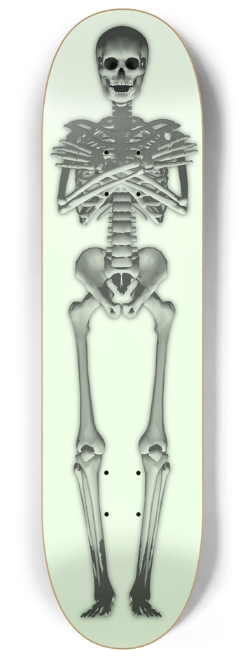 Full Length Skeleton