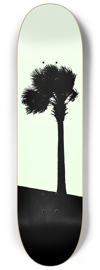 Palm Tree
