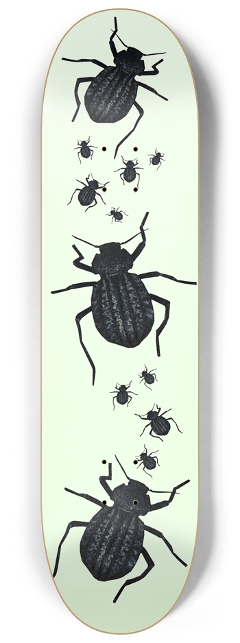 Beetle 