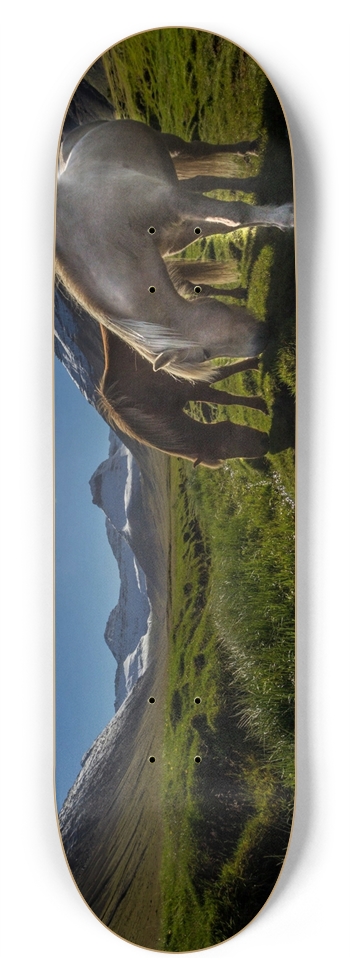 Custom Skateboard horses