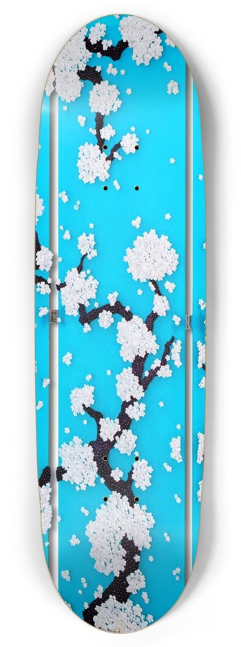 Ran Hwang Skate Deck