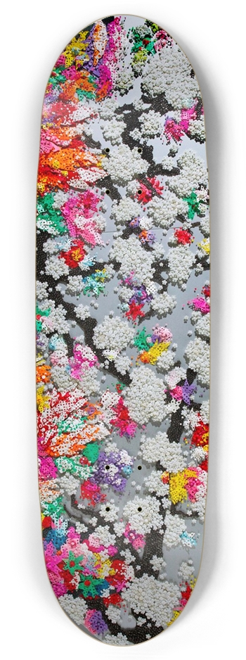 Ran Hwang Skate Deck