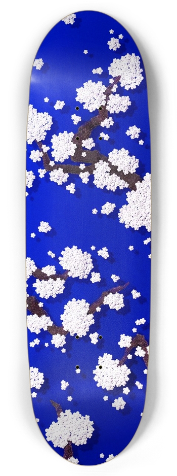 Ran Hwang Skate Deck