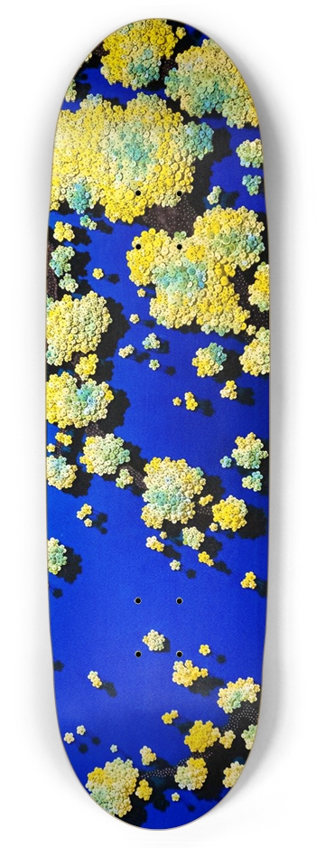 Ran Hwang Skate Deck