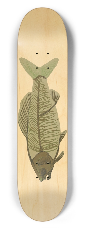 Fishbones 2 7-1/2 Skateboard Deck
