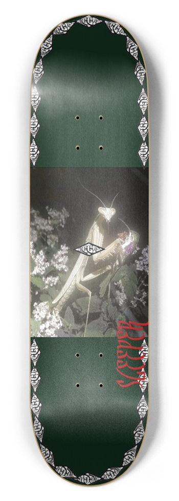 earth deck