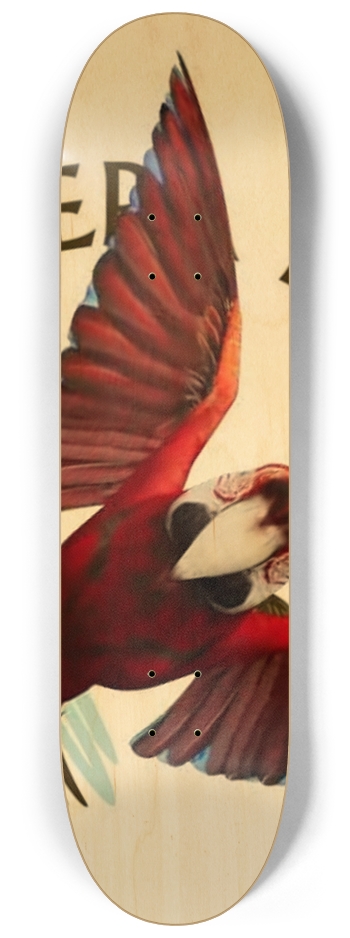 PARROT PRO