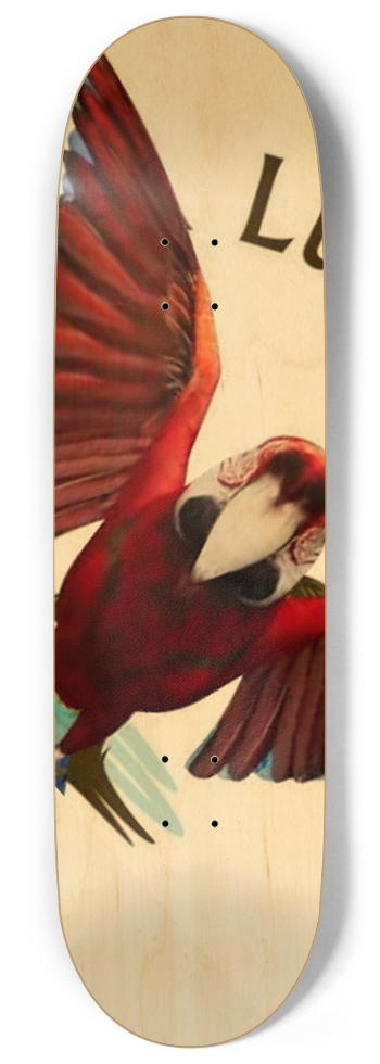 PARROT NEW SCHOOL