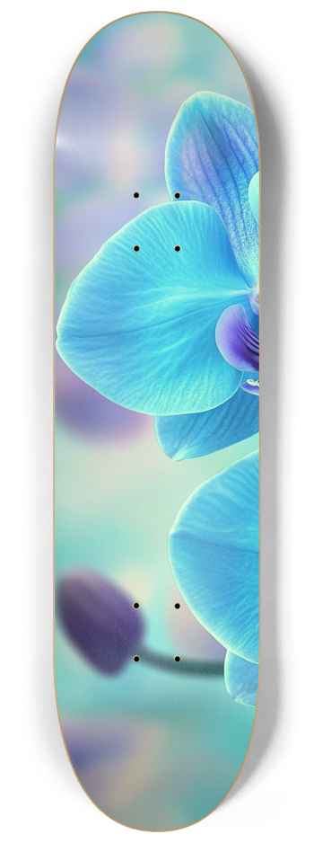 orchid  flower custom Skateboard Series #1