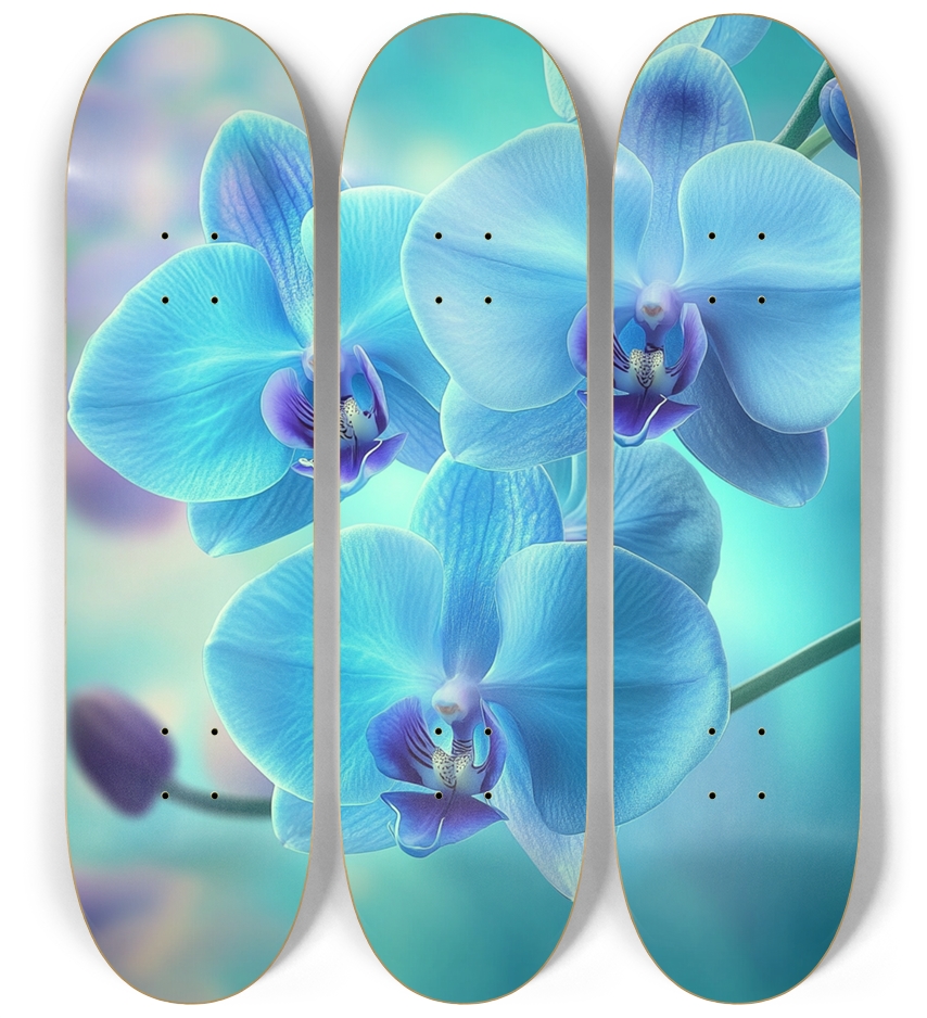 orchid  flower custom Skateboard Series
