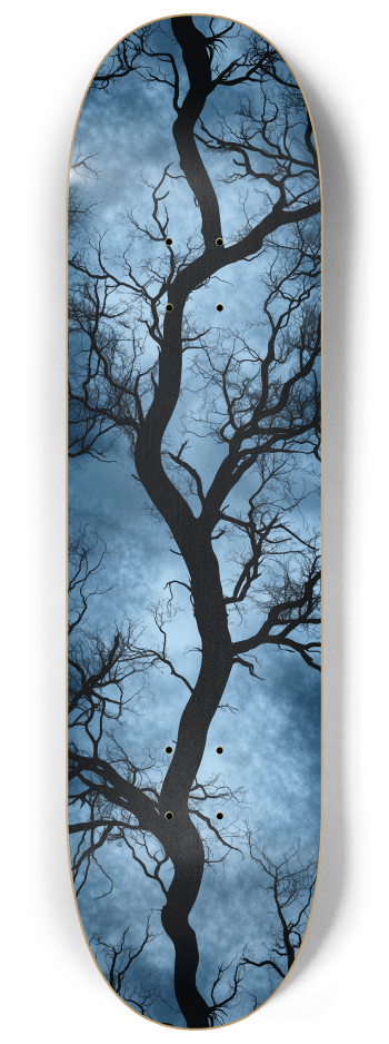 Dreamhunts 3 decks custom Skateboard Series #1