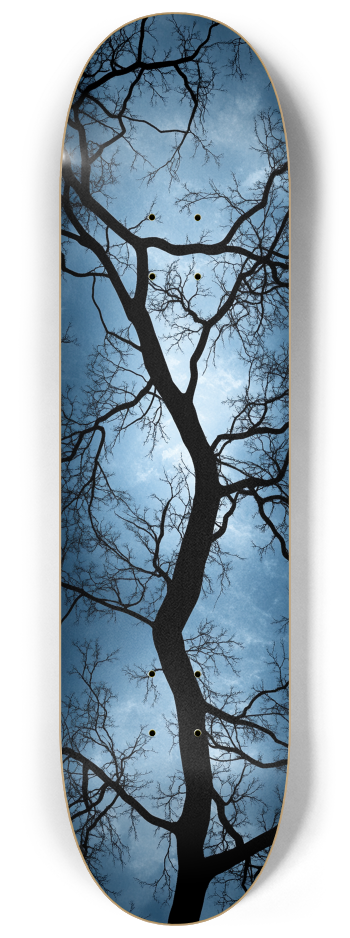 Dreamhunts 3 decks custom Skateboard Series #3