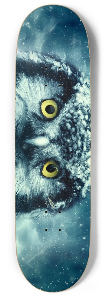ice owl Skateboard