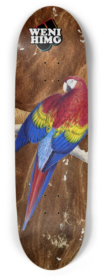 Custom Skateboard