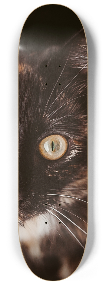 cat Skateboard