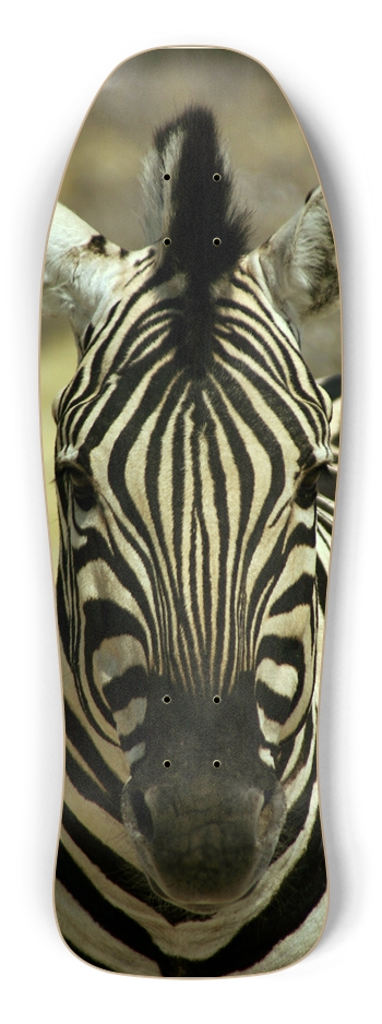 zebra Skateboard