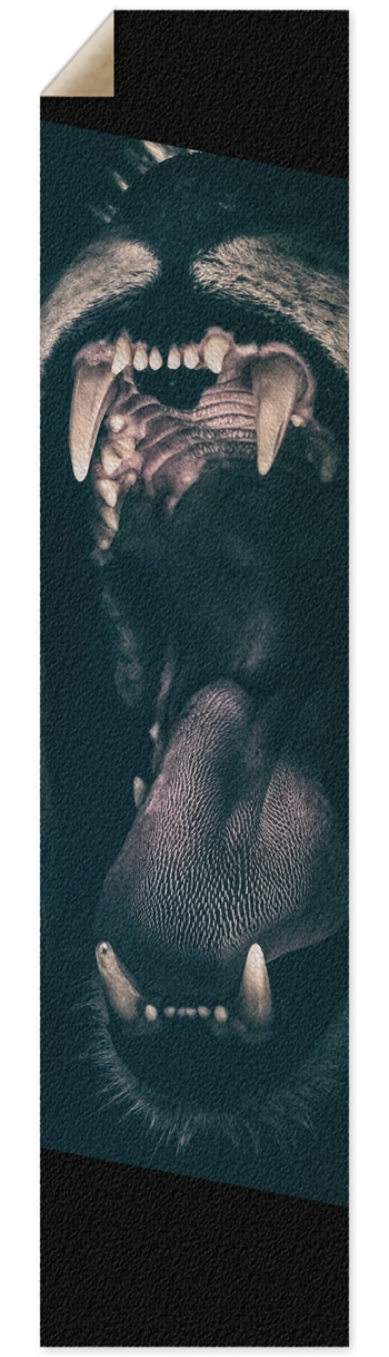 bit Griptape