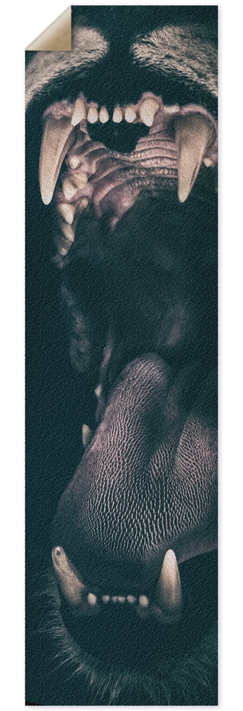 bit Griptape