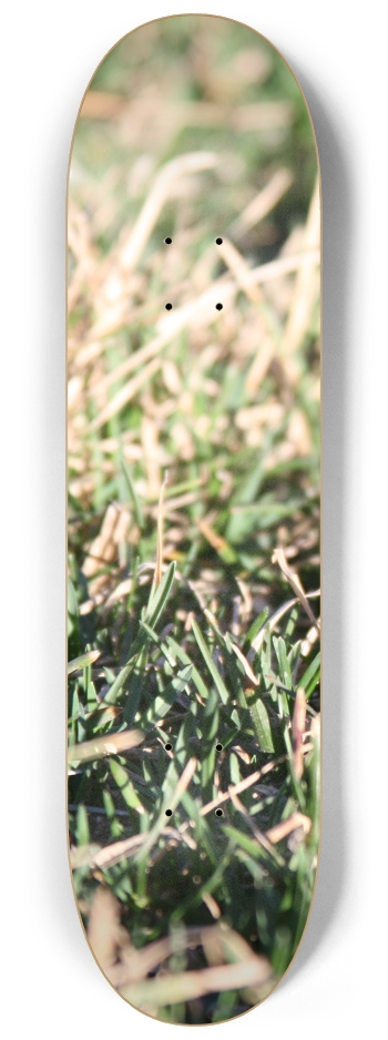 Grass Up Close