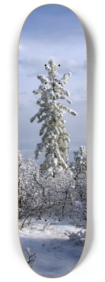 Snowy Tree