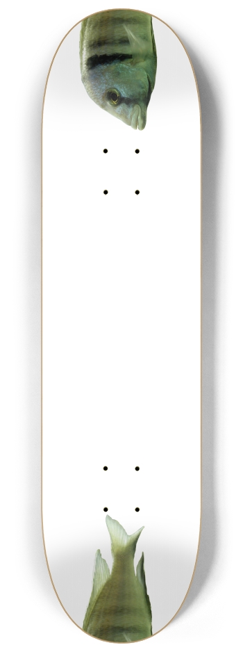Fish - Nose/Tail (transparent)