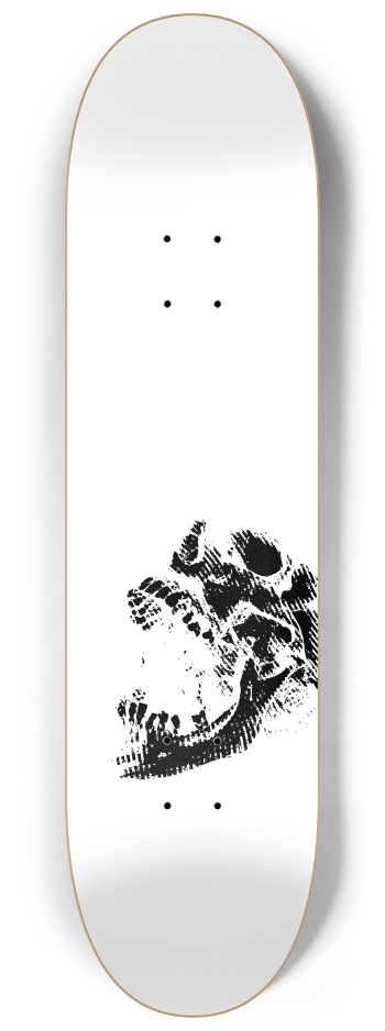 skull (transparent)