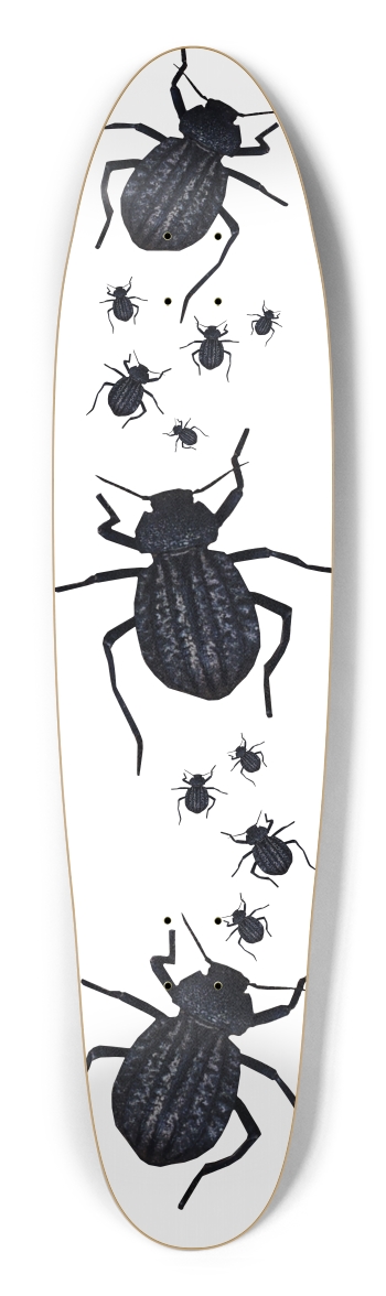 Beetle