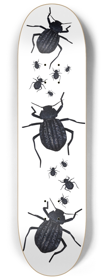 Beetle