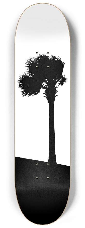 Palm Tree