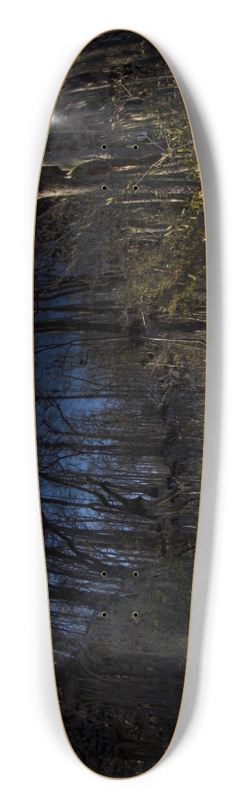 Swamp Trees