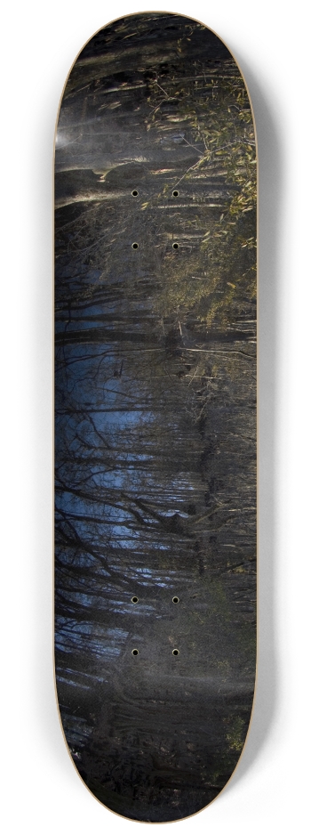 Swamp Trees