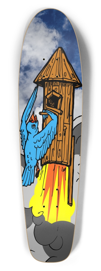 bird rocket