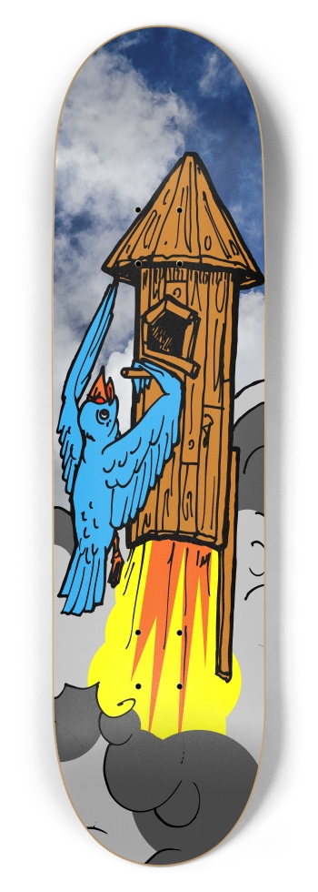 bird rocket
